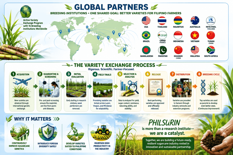 PHILSURIN Strengthens Sugarcane Breeding Through Global Variety Exchange