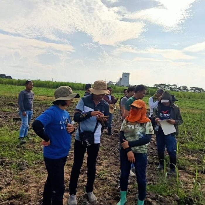 0-02-06-37f116a3eb061a68a636a89101839e735911e8be6d7ca8f2fca04100c2817e00_28c51f105ddf6690