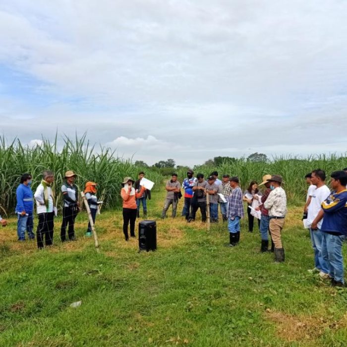 0-02-06-3e19846466be860a7c4e8e81a898e2f9fd9477f93622d06d5412a7b7ee85a08a_ef434e2a928df226