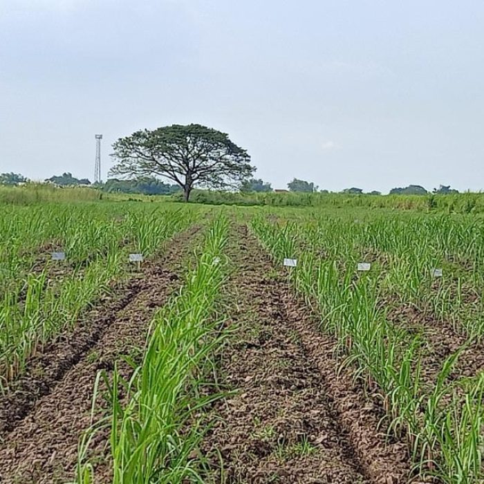 0-02-06-68740eb913a403e791f57449efc38e5b57a2cb0ef40e565b13276213db1256b6_f9734f9de5677db3