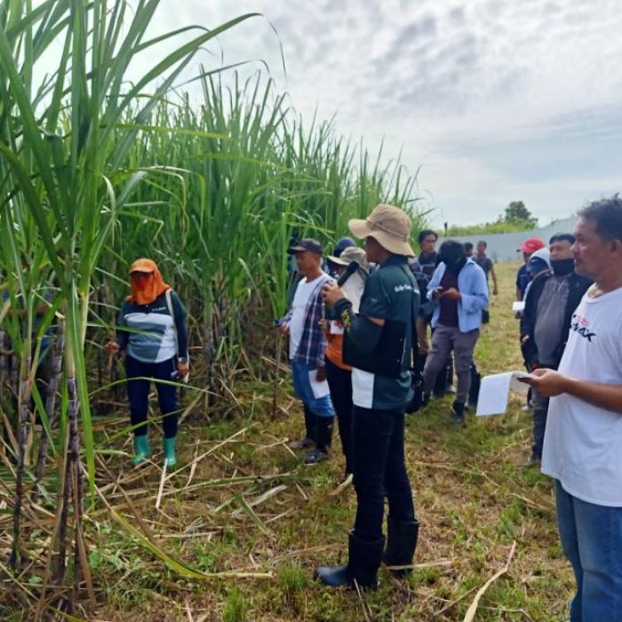 0-02-06-b2d33e9e8d36d84ec080ceaf18b16adee70dd0850cd7d42d64e3df058c7a7f57_b49028c0c70483fe