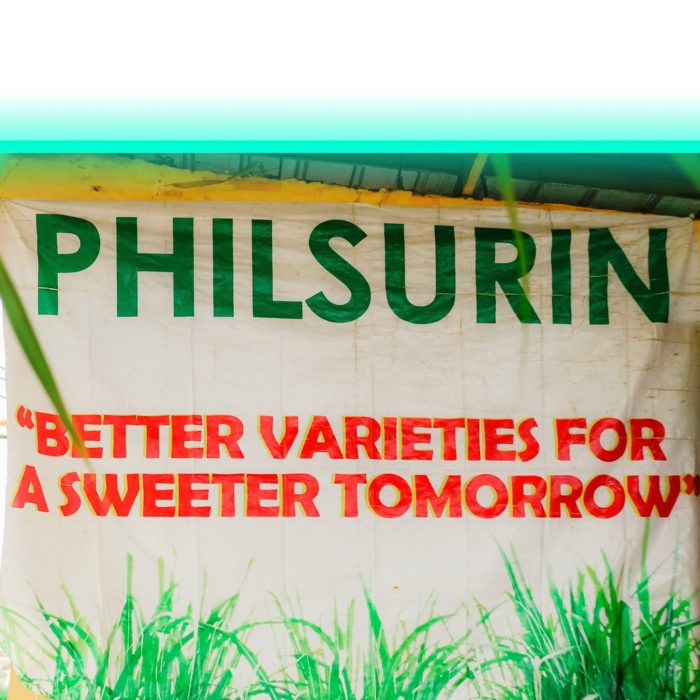 305619581_439830951498738_7848646754268781895_n