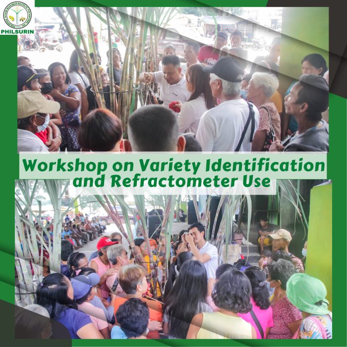 313177665_480030277478805_3523346405735496353_n