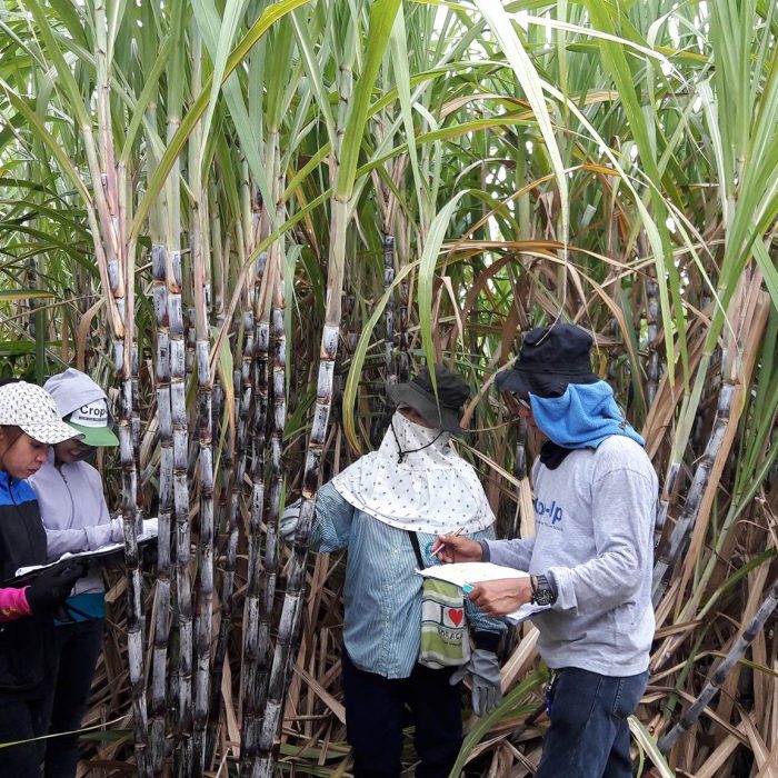 42824064_1850085835028905_493081512804089856_n